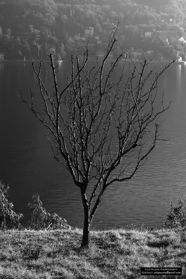 Appartamenti Monti Como Lake Brunate Exterior foto